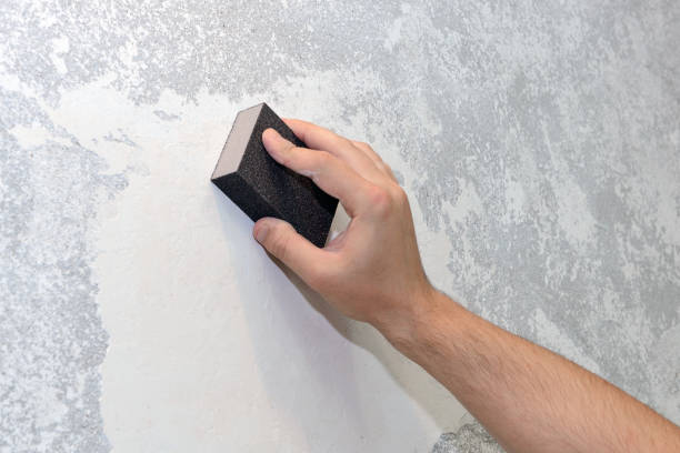 Best Commercial Mold Inspection  in Hillburn, NY