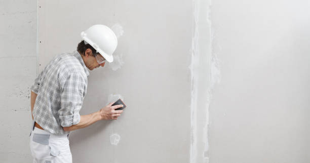 Best Mold Damage Restoration  in Hillburn, NY