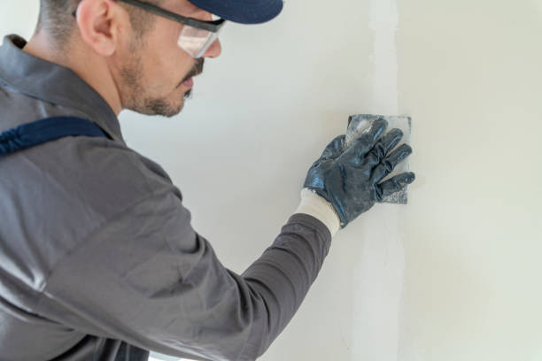 Professional Mold Removal in Hillburn, NY